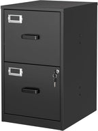 BYNSOE 2 Drawer File Cabinet by BYNSOE