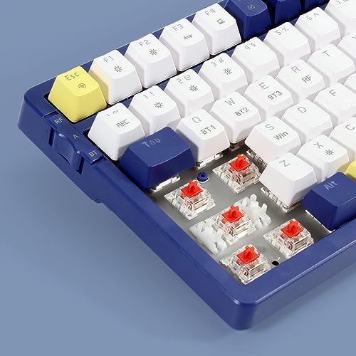 Merdia Wireless Mechanical Keyboard, Triple Mode 2.4G/USB-C/BT Gaming Keyboar...