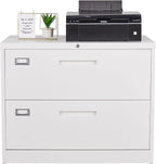 MIIIKO 2 Drawer Lateral File Cabinet by MIIIKOOfficeFurniture