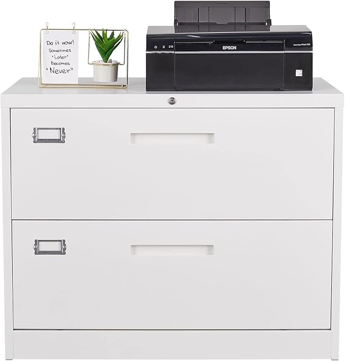 MIIIKO 2 Drawer Lateral File Cabinet by MIIIKOOfficeFurniture