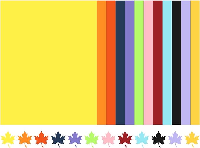 120 Sheets 8.5" X 11" Colored Cardstock, 12 Assorted Colors Construction Paper by WelcometoVishoitty