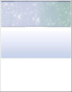 Compuchecks Blank Check Paper by Compuchecks