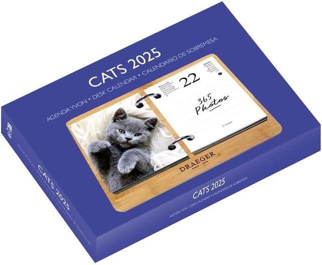 DRAEGER PARIS - Yvon 2025 Ephemeris Diary Box - 7 Languages - 365 Sheets and ...