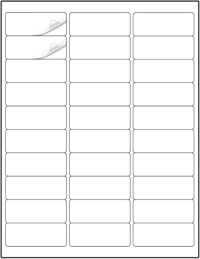Methdic Address Labels 1" x 2-5/8" 900 Labels Sticker Paper by Methdic