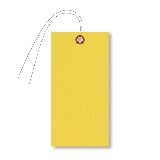 SmartSign Blank Tyvek Shipping Tags by SmartSign
