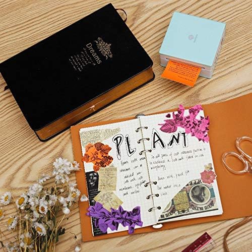 Phomemo Colorful Thermal Sticker Paper for M02/M02 Pro/M04S Mini Printer | Black Character on Purpple/Rose/Orange, 50mm x 3.5m, Diameter 30mm, 3 Rolls