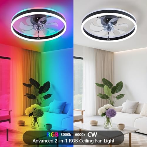 sterren rgb ceiling fan with light, low profile, package contents