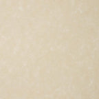 LUXPaper 8.5" x 11" Paper | Letter Size | Cream Parchment | 60lb. Text | 500 Qty - Image 2