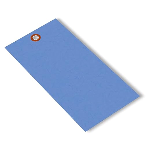 SmartSign 6.25 x 3.125 inch “Blue” Blank Tyvek Shipping Tags by SmartSign