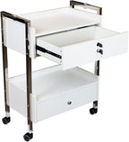 Supreme Medical Dental Mobile Utility Cabinet - Image 2