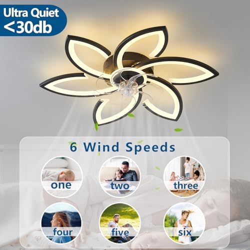 dalouguan ceiling fan with lights remote control, 30" on a desk or shelf