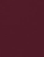 LUXPaper 8.5" x 11" Cardstock | Letter Size | Burgundy Linen | 100lb. Cover | 1 by LUXPaper