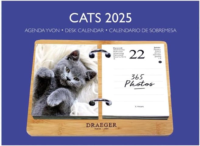 DRAEGER PARIS - Yvon 2025 Ephemeris Diary Box - 7 Languages - 365 Sheets and ...
