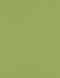 LUXPaper 8.5" x 11" Paper | Letter Size | Avocado Green | 70lb. Text | 250 Qty