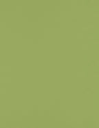 LUXPaper 8.5" x 11" Paper | Letter Size | Avocado Green | 70lb. Text | 250 Qty