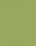 LUXPaper 8.5" x 11" Paper | Letter Size | Avocado Green | 70lb. Text | 250 Qty by LUXPaper