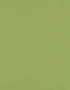 LUXPaper 8.5" x 11" Paper | Letter Size | Avocado Green | 70lb. Text | 250 Qty by LUXPaper