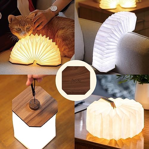 Originality Folding Accordion Lamp, Japanese Gift, LED Paper Lantern