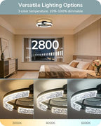 edishine 20'' ceiling fans with lights and remote shown in use