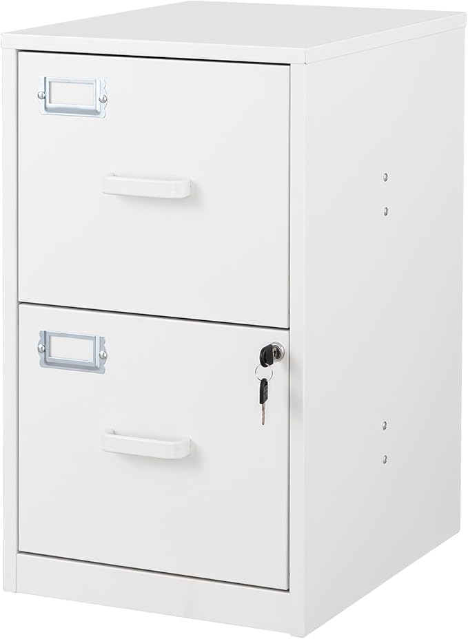 BYNSOE 2 Drawer File Cabinet by BYNSOE