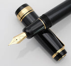 xixixiaozhu Metal Big Fountain Pen, Medium Nib 0.7mm, Includes Ink Converter & - Image 3