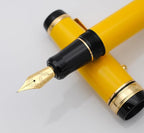 xixixiaozhu Metal Big Fountain Pen Set Medium Nib 0.7mm, Includes Ink Refill - Image 3