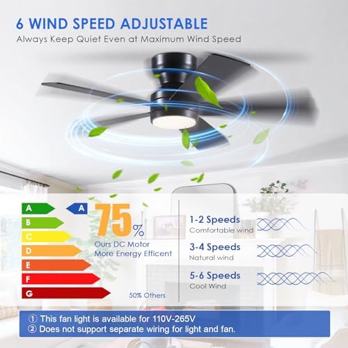 black ceiling fans with lights - 46" flush shown in use