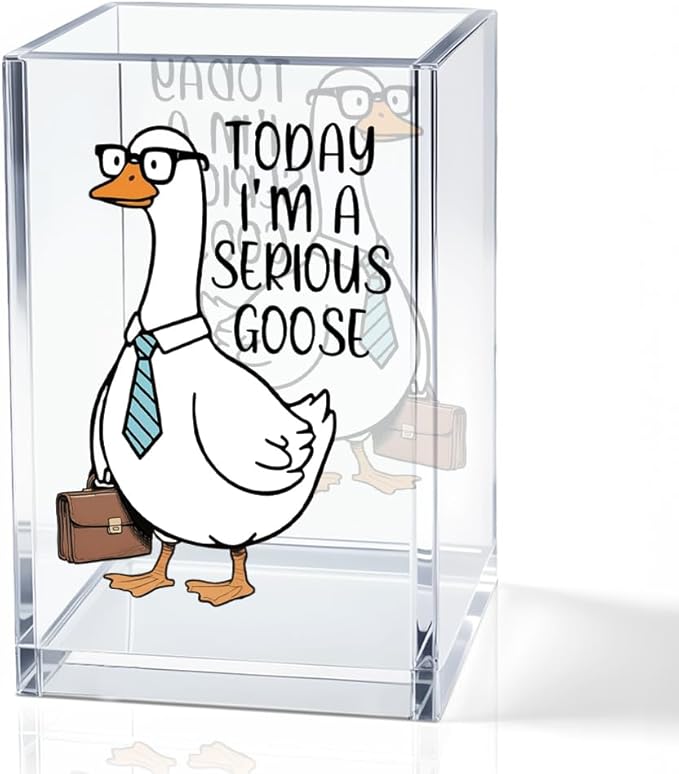 QYUVK Today I'm A Serious Goose Acrylic Cosmetic Pencil Holder Cup, Funny Silly by QYUVK