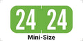 MINI 2024 Year Stickers, Doctor Stuff 2024 Chart Stickers, Light Green Color by DoctorStuff