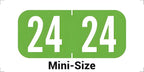 MINI 2024 Year Stickers, Doctor Stuff 2024 Chart Stickers, Light Green Color by DoctorStuff