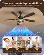 edishine 52" farmhouse ceiling fans with light and, package contents