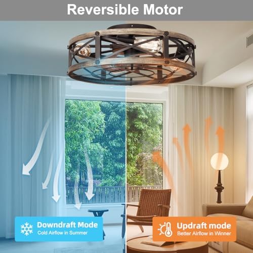 shluce caged ceiling fan with light and remote, package contents