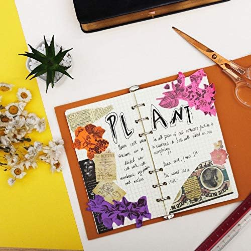 Phomemo Colorful Thermal Sticker Paper for M02/M02 Pro/M04S Mini Printer | Black Character on Purpple/Rose/Orange, 50mm x 3.5m, Diameter 30mm, 3 Rolls