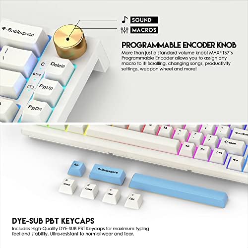 FANTECH Maxfit67 RGB 65% Gaming Keyboard - Hot Swap Kailh White Switch