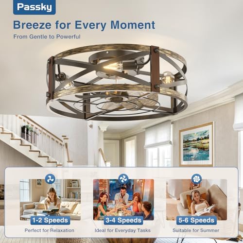 passky 20" caged ceiling fans with lights and showing dimensions