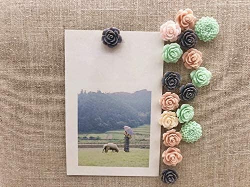 24Pcs Decorative Pushpins, Cork Board Tacks, Bulletin Board Tacks, Thumb Tack - Image 6