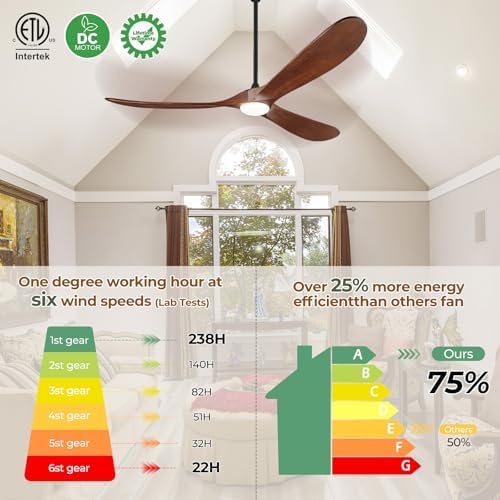 52" ceiling fans with lights and remote control shown in use