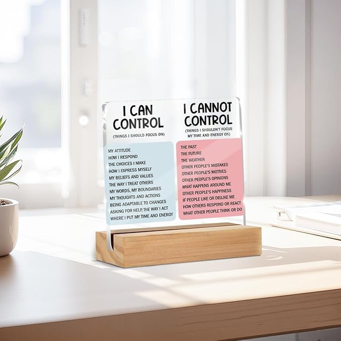 Mental Health Desk Decor Things I Can Control Acrylic Sign, Inspirational Gifts - Image 3