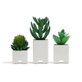 U Brands Adhesive Faux Succulent Cord Organizers, Kitchen Gadgets Cable by UBrands