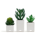 U Brands Adhesive Faux Succulent Cord Organizers, Kitchen Gadgets Cable by UBrands