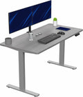 VIVO Electric 55 x 28 in Standing Desk, Memory Height Adjustment, 1B Series by VIVO