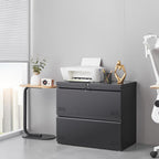 Approgreent 2 Drawer File Cabinet, File Cabinets for Home Office, Printer Stand, File Cabinet with Lock, Lateral Filing Cabinet for A4/Letter/Legal Size File Folders, Assembly Required(Black)