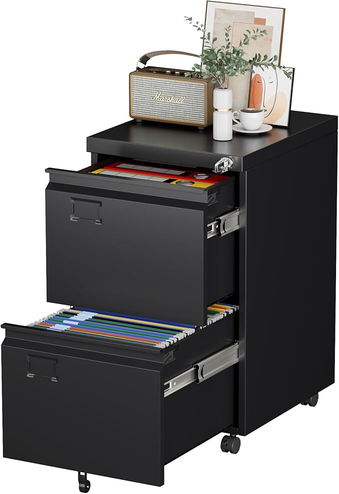 METAN 2 Drawer Vertical File Cabinet by METAN