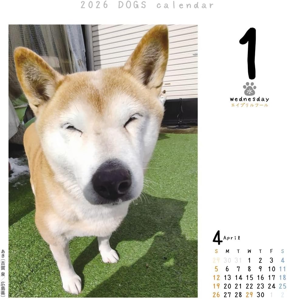 Inu Mekuri 2026 Calendar Refill, Daily CK-D26-02