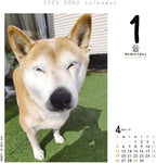 Inu Mekuri 2026 Calendar Refill, Daily CK-D26-02