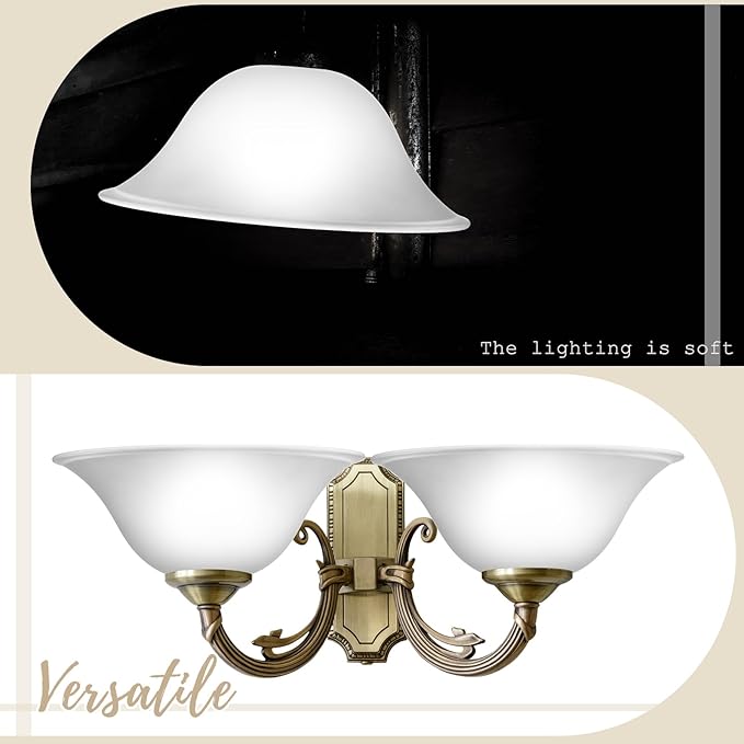 Huquary Lamp Glass Shades for Floor Lamp Elegant Cover Light Fixture Shade - Image 6