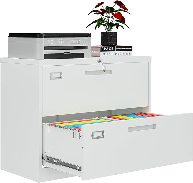 AFAIF 2 Drawer File Cabinets for Home Office, Metal Filing Cabinet by AFAIF