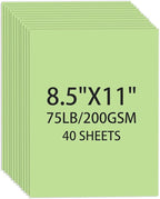 Cardstock 8.5 X 11, 40 Sheets Light Green Card Stock, 75lb/ 200gsm Pale Green by Ciphyfee