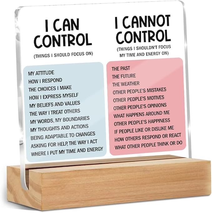 Mental Health Desk Decor Things I Can Control Acrylic Sign, Inspirational Gifts by ZHAMEN