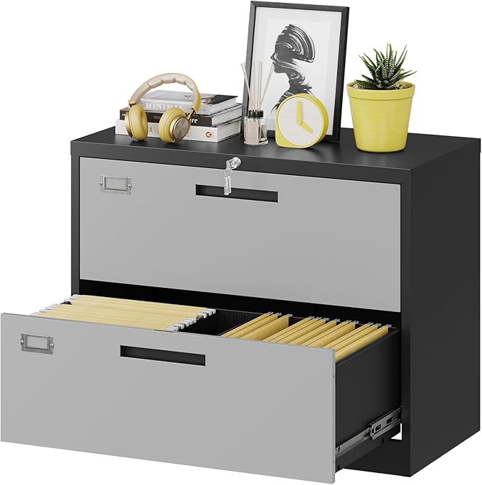 Fesbos 2 Drawer Lateral File Cabinet by Fesbos